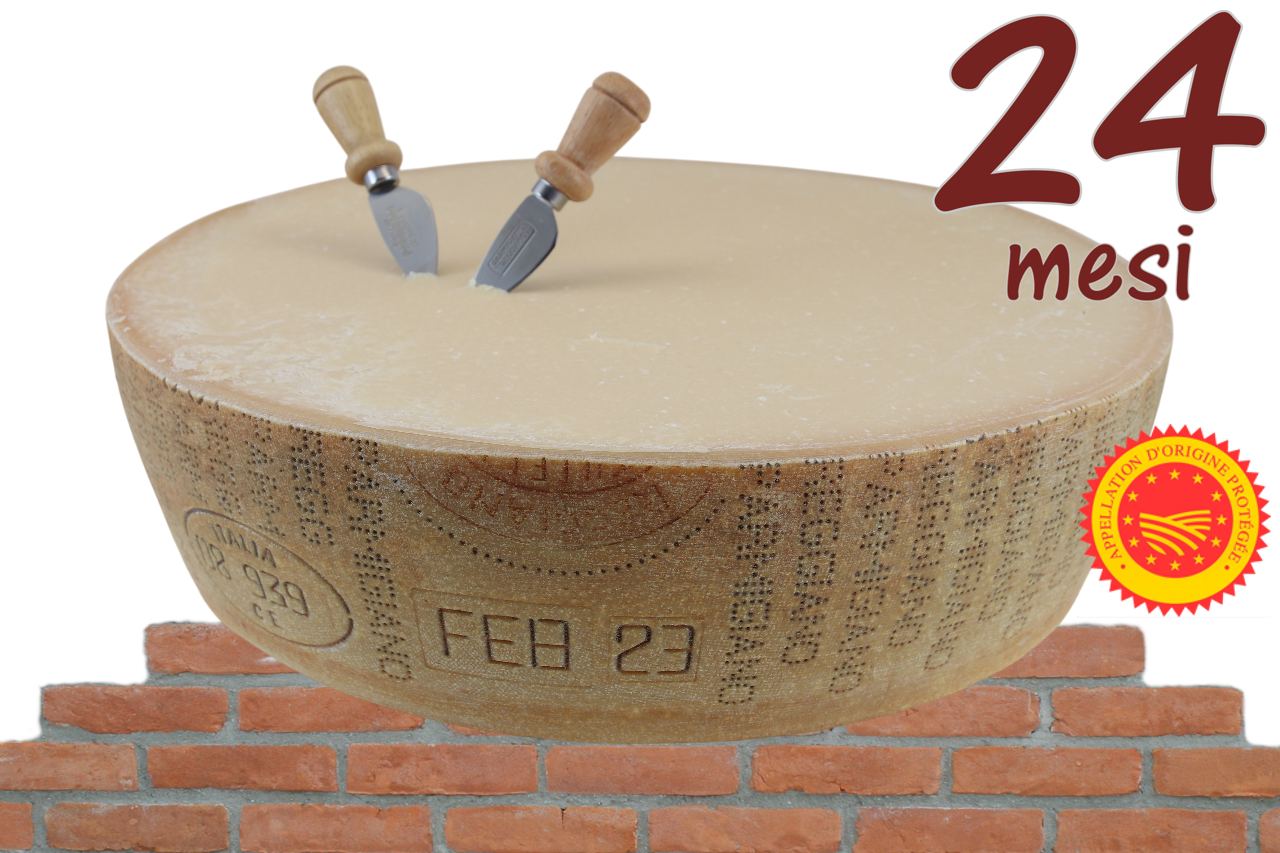 Parmesan Rad 24 Monate