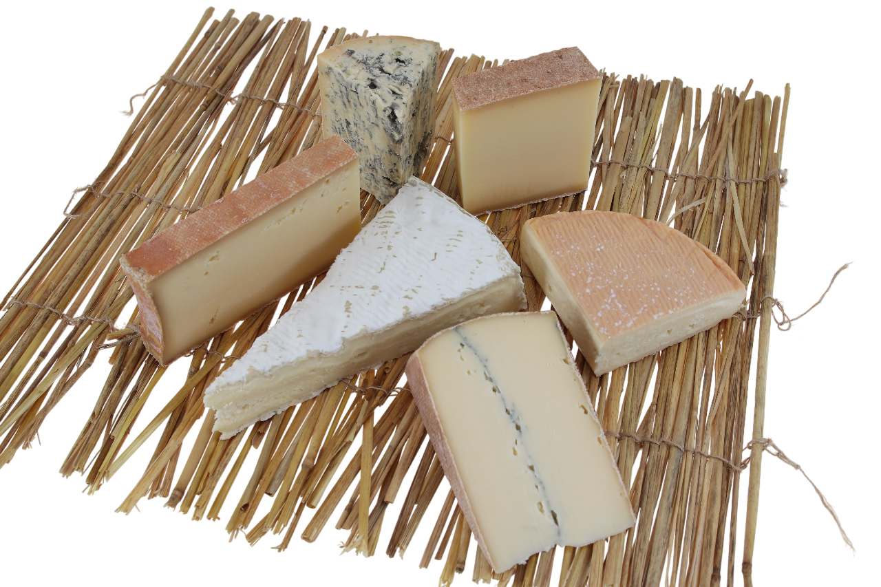 Nahaufnahme der französischen AOP Käseplatte Nr. 1, bestehend aus Brie de Meaux, Munster, Comté und weiteren Spezialitäten