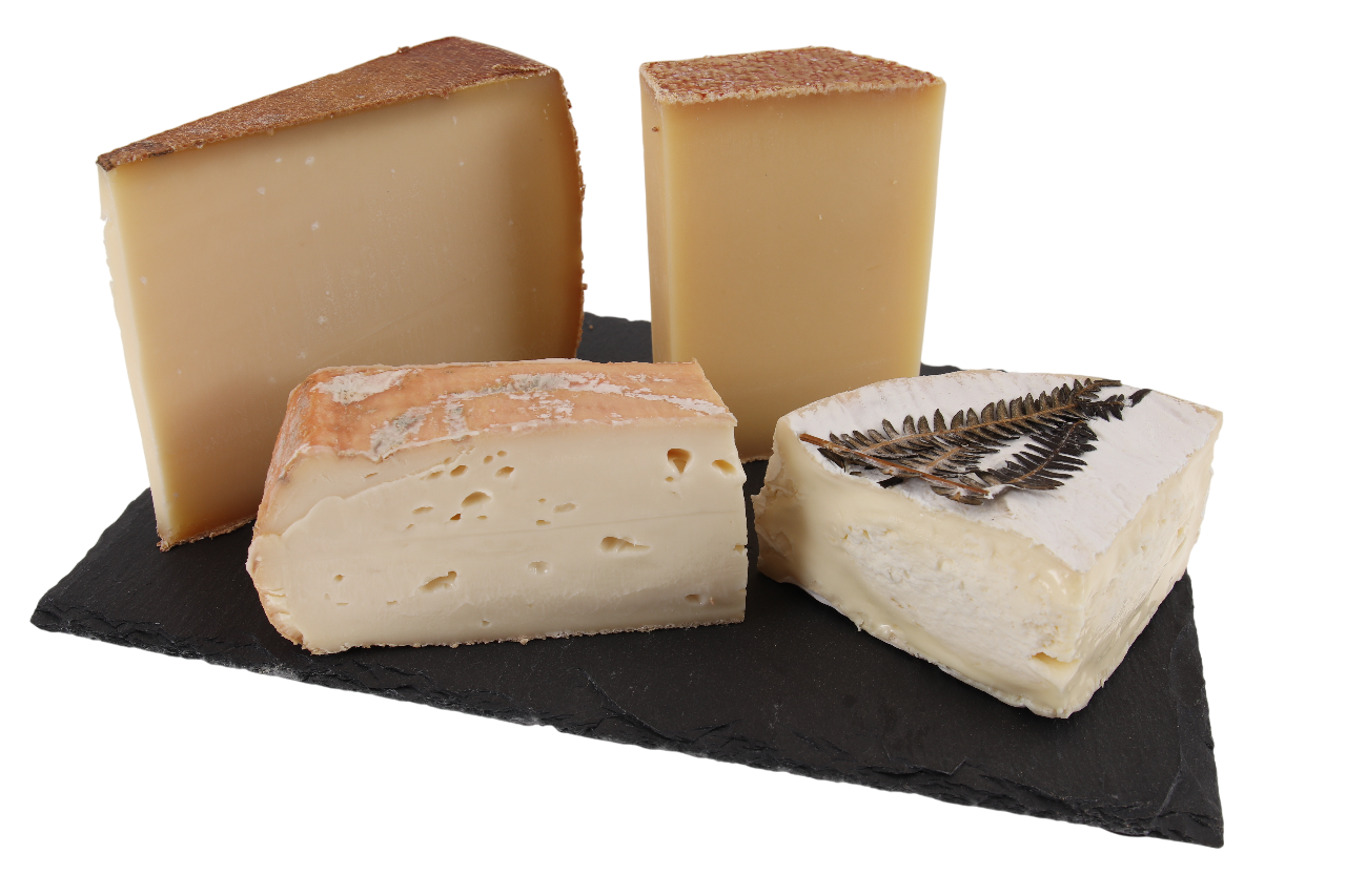 Vier Länder Genusstour Käseauswahl mit Bergkäse aus Deutschland, Schweiz, Frankreich und Italien auf Holzbrett