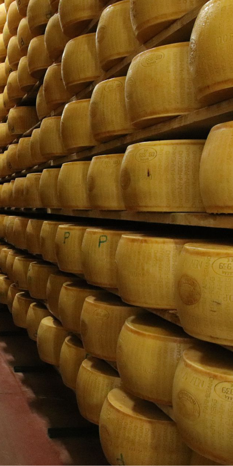 Parmesan Rad online Shop