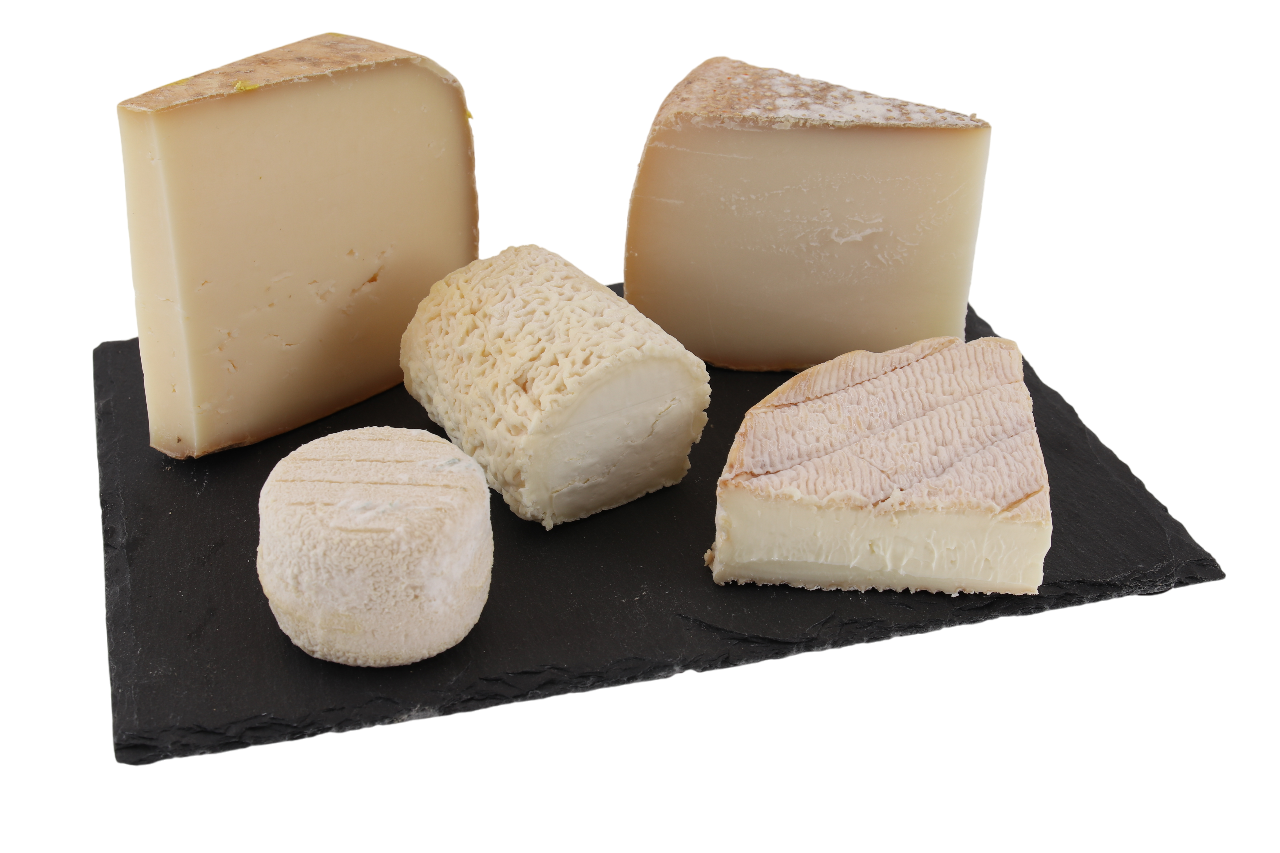Ziegenkäse Sortiment Chevre & Brebis Tasting mit feinen Käsespezialitäten auf Holzbrett