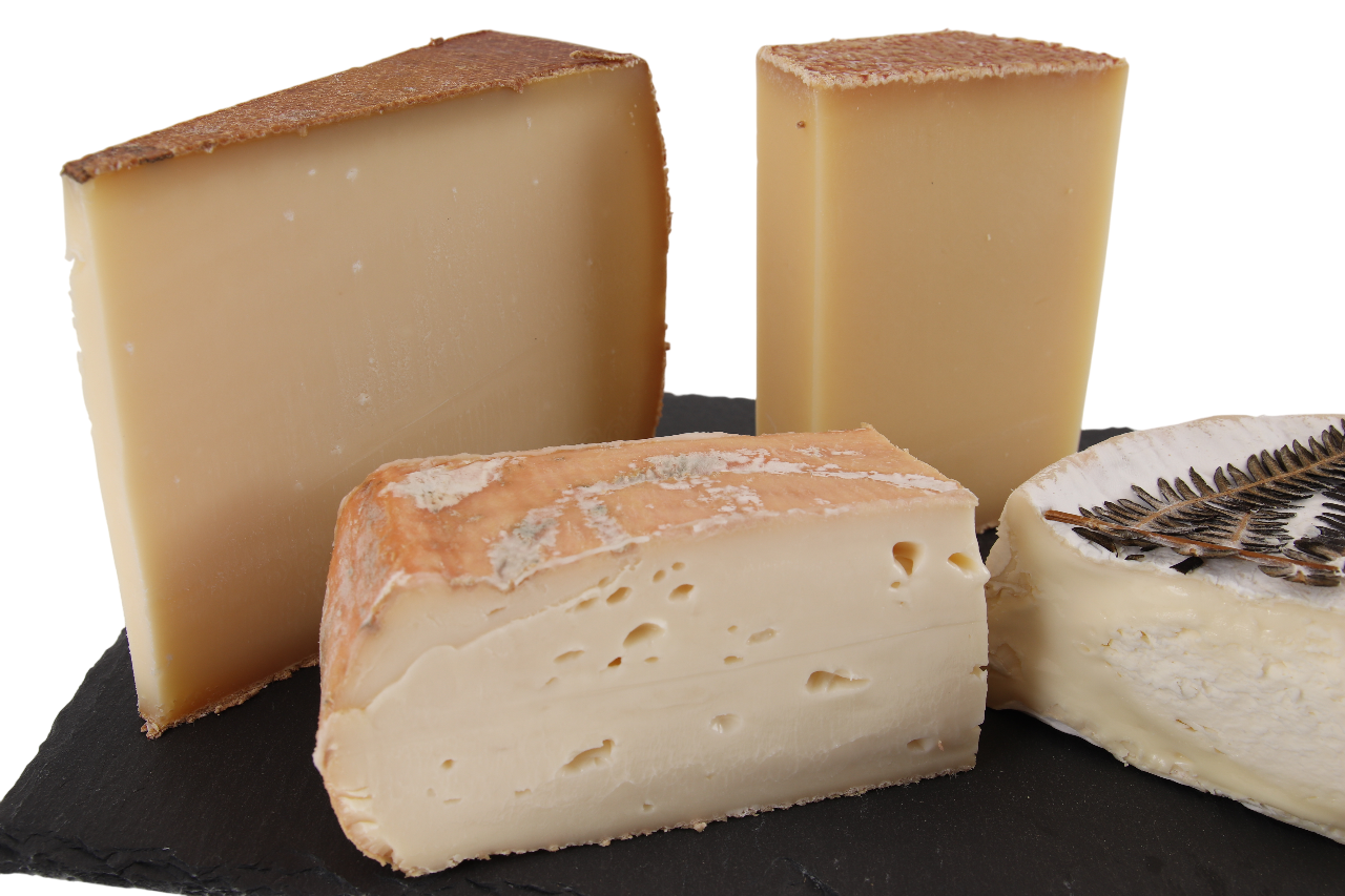 Frisch geschnittener Rohmilchkäse aus der Vier Länder Genusstour von Käseversand24