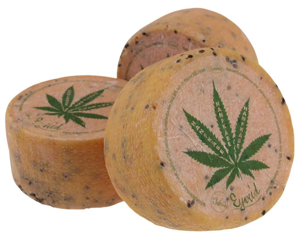 Ganzer Hanf-Mutschli mit grüner Etikette von Käselady Dora – erhältlich bei Käseversand24.de